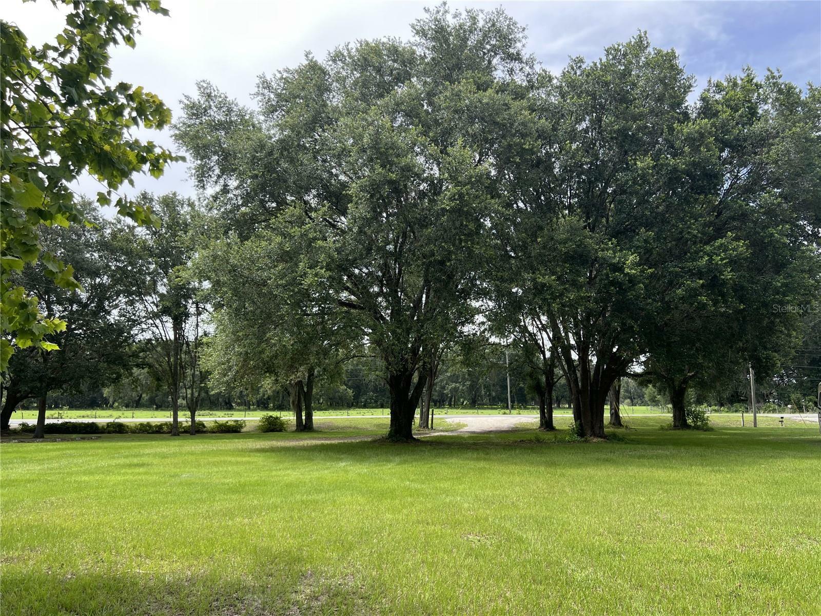 Property Photo: 2777 Cr 673 FL 33513
