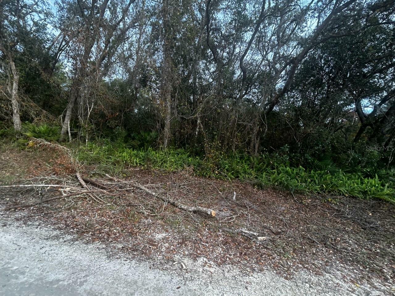 Property Photo: 6330 Mike Lane FL 33597