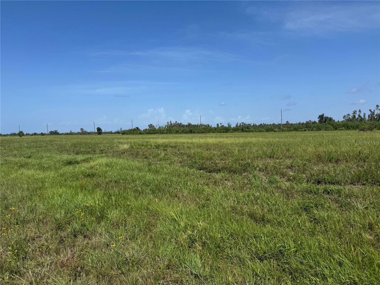 Property Photo: 4 Croton Court FL 33946