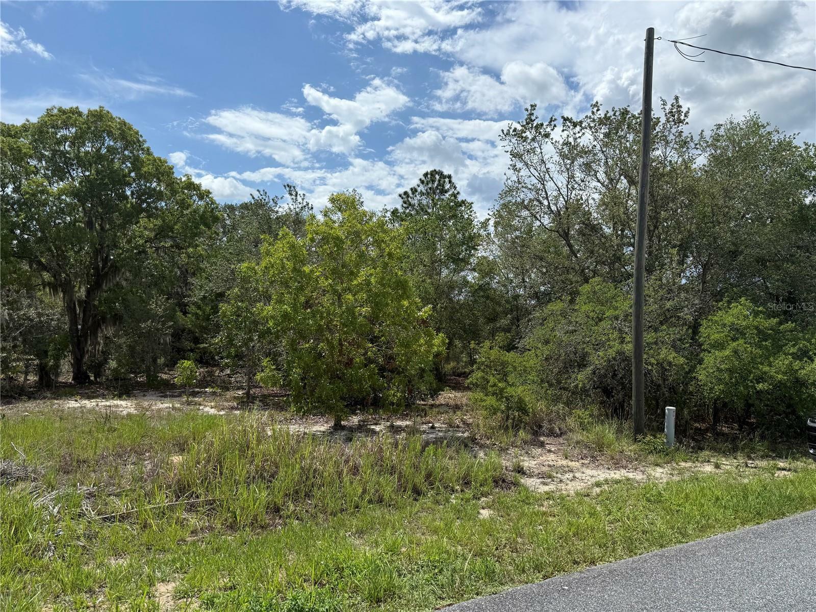 Property Photo: Tbd Locust Lane Pass FL 34472