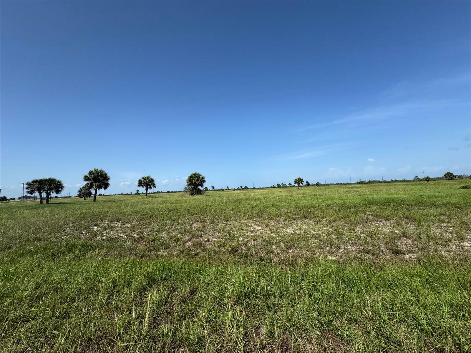 Property Photo: 55 Begonia Drive FL 33946