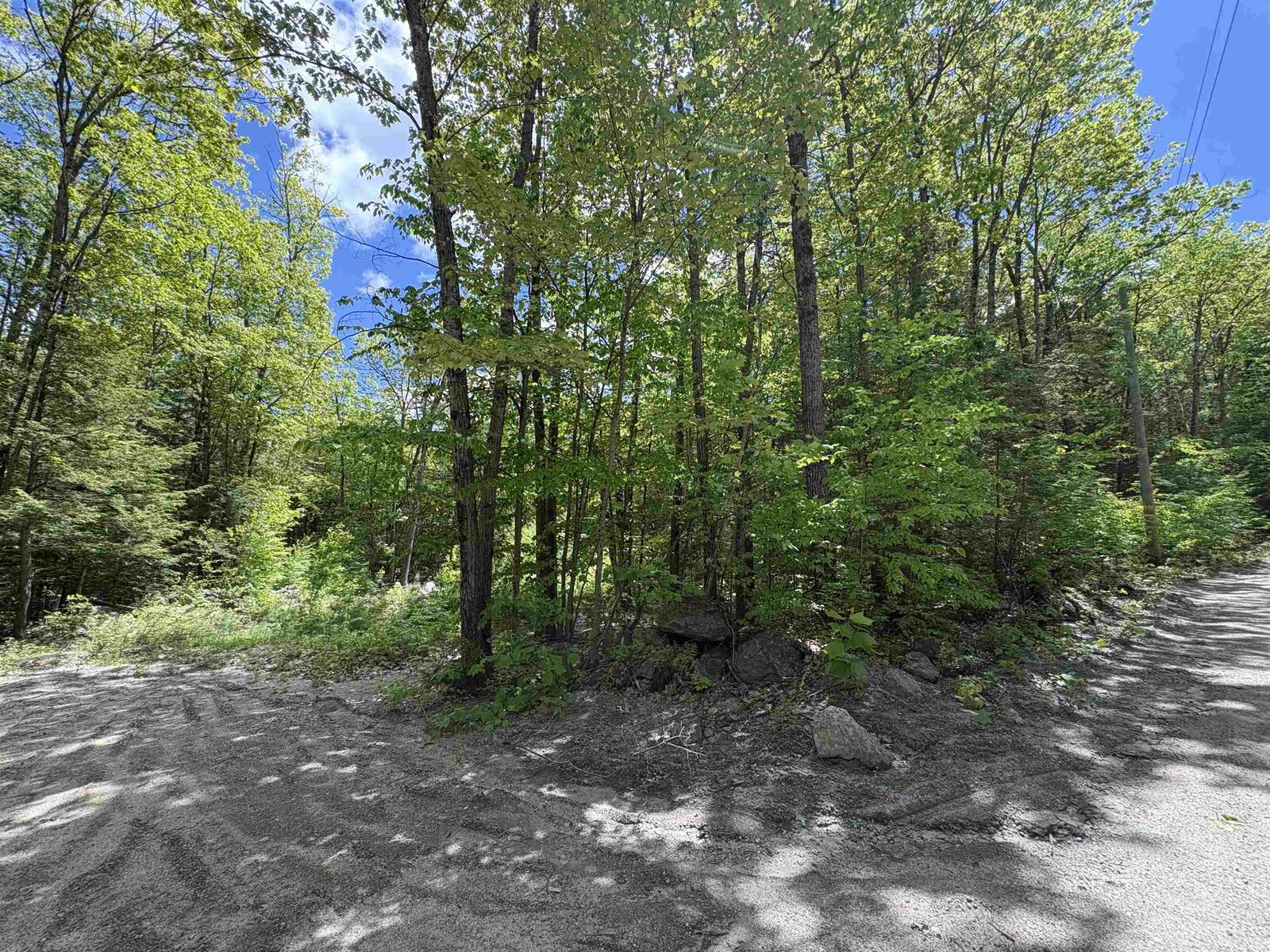 Property Photo:  Craig Road  NH 03440 