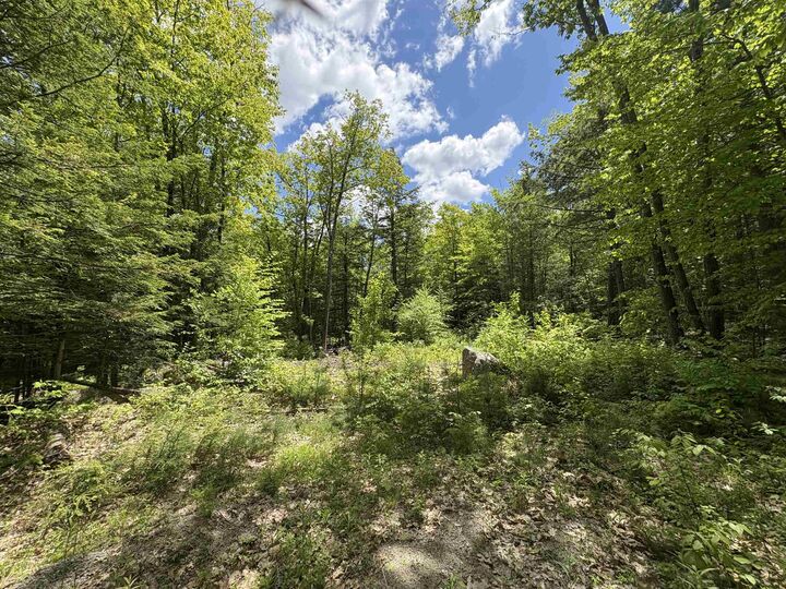 Property Photo: Craig Road NH 03440