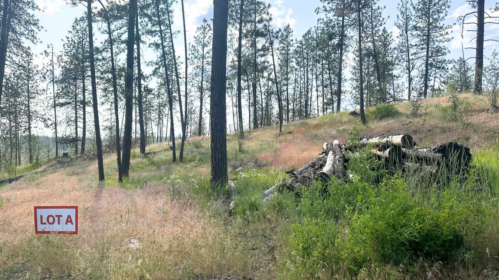 Property Photo:  Nka Lower Weaver Lot A Way  WA 99006 