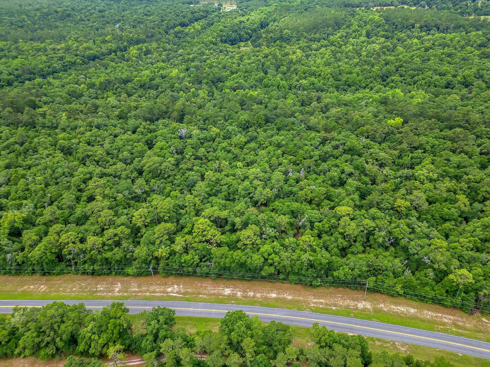 Property Photo: Xx Old Federal Road FL 32351
