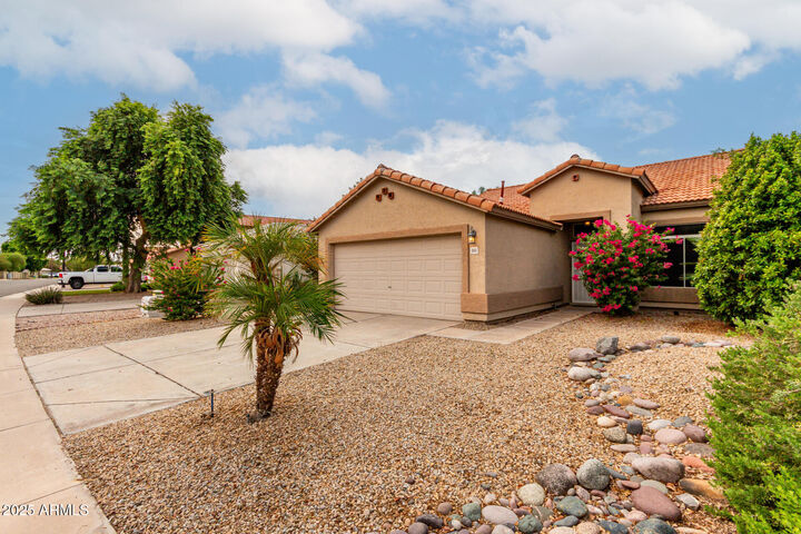 Property Photo:  244 N Rock Street  AZ 85234 