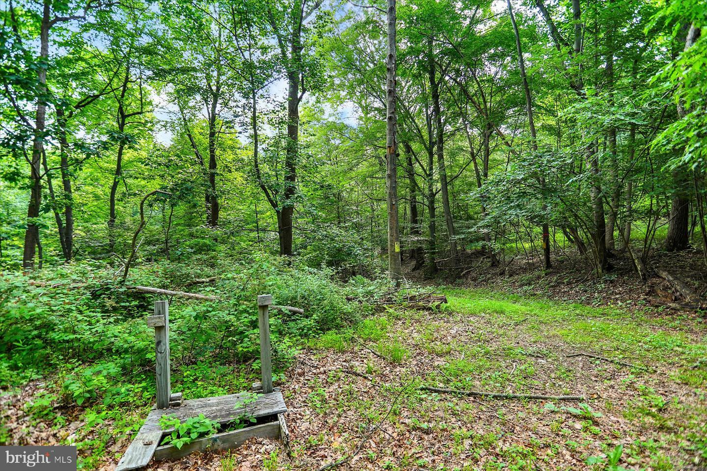 Property Photo: 0 Shull Hill Road PA 17074