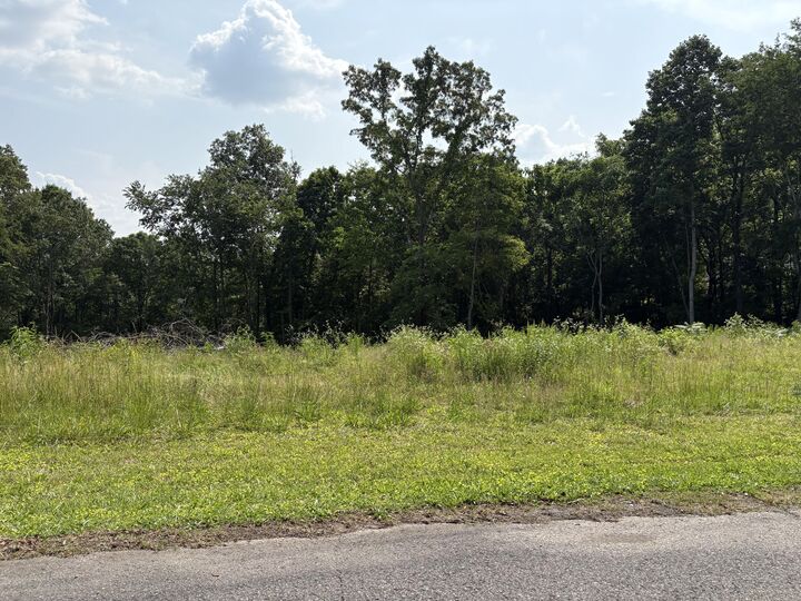 Property Photo: Lot 1 Robbie Drive TN 37397