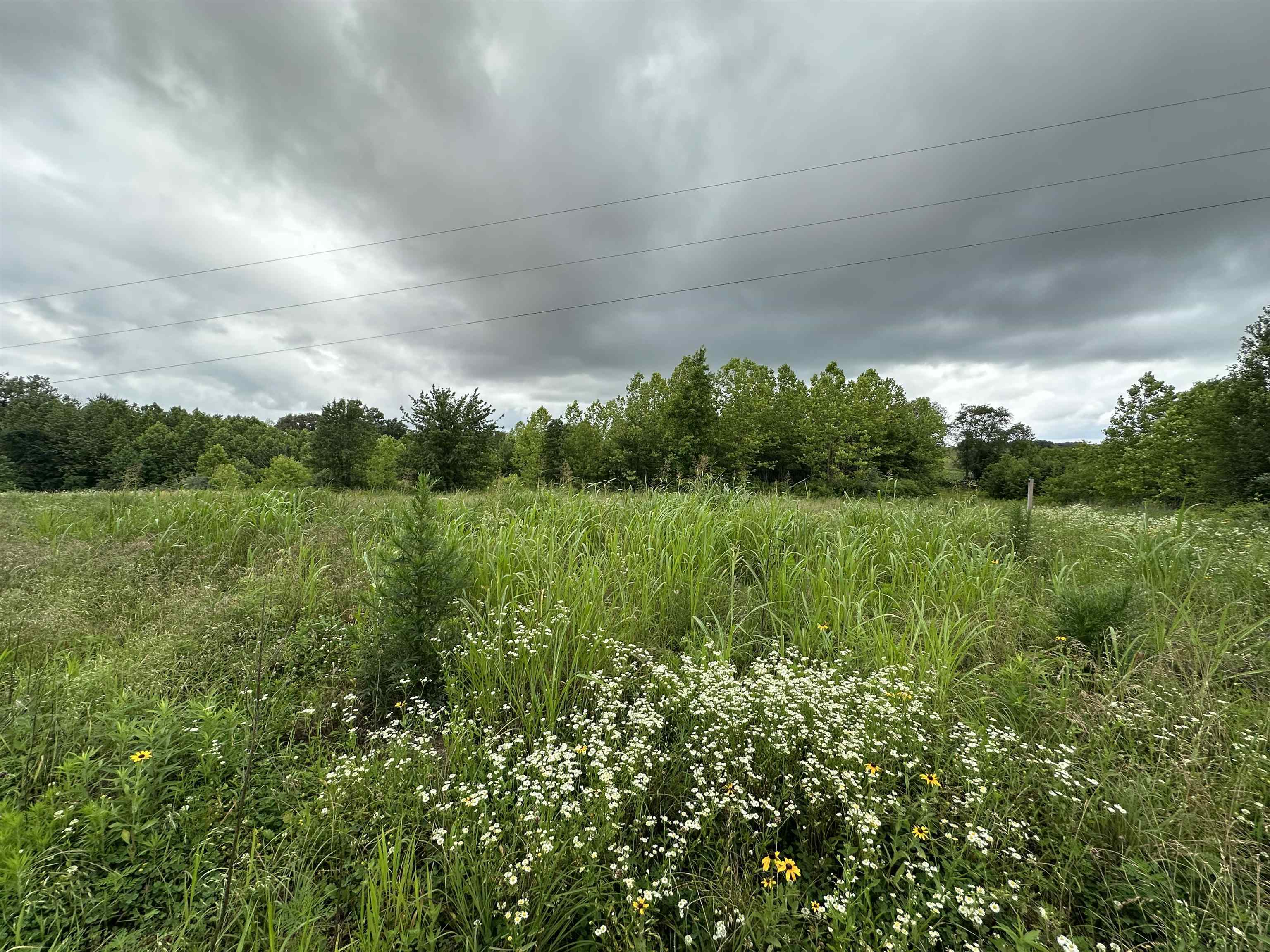 Property Photo: 14766 Griffin Graves Creek Rd IN 42420