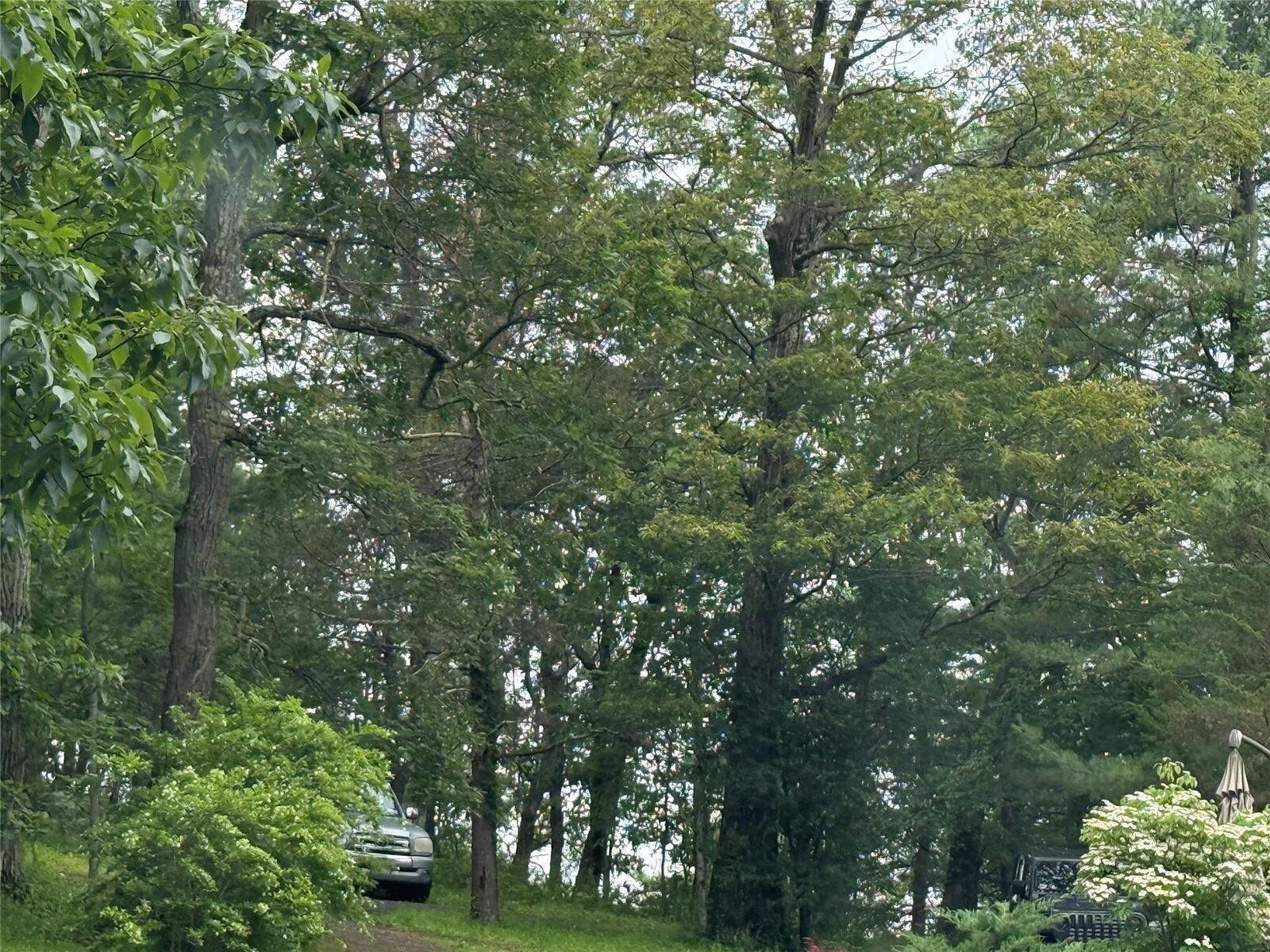 Property Photo:  E Mombasha Road  NY 10950 