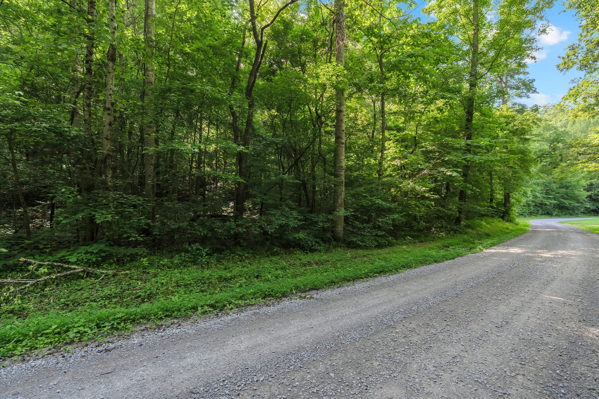 Property Photo: 0 Teal Hollow Rd TN 37348