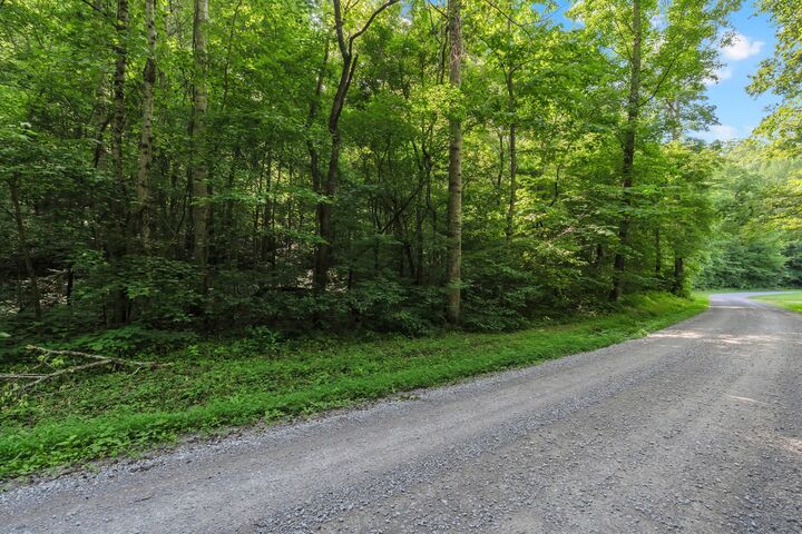 Property Photo:  0 Teal Hollow Rd  TN 37348 