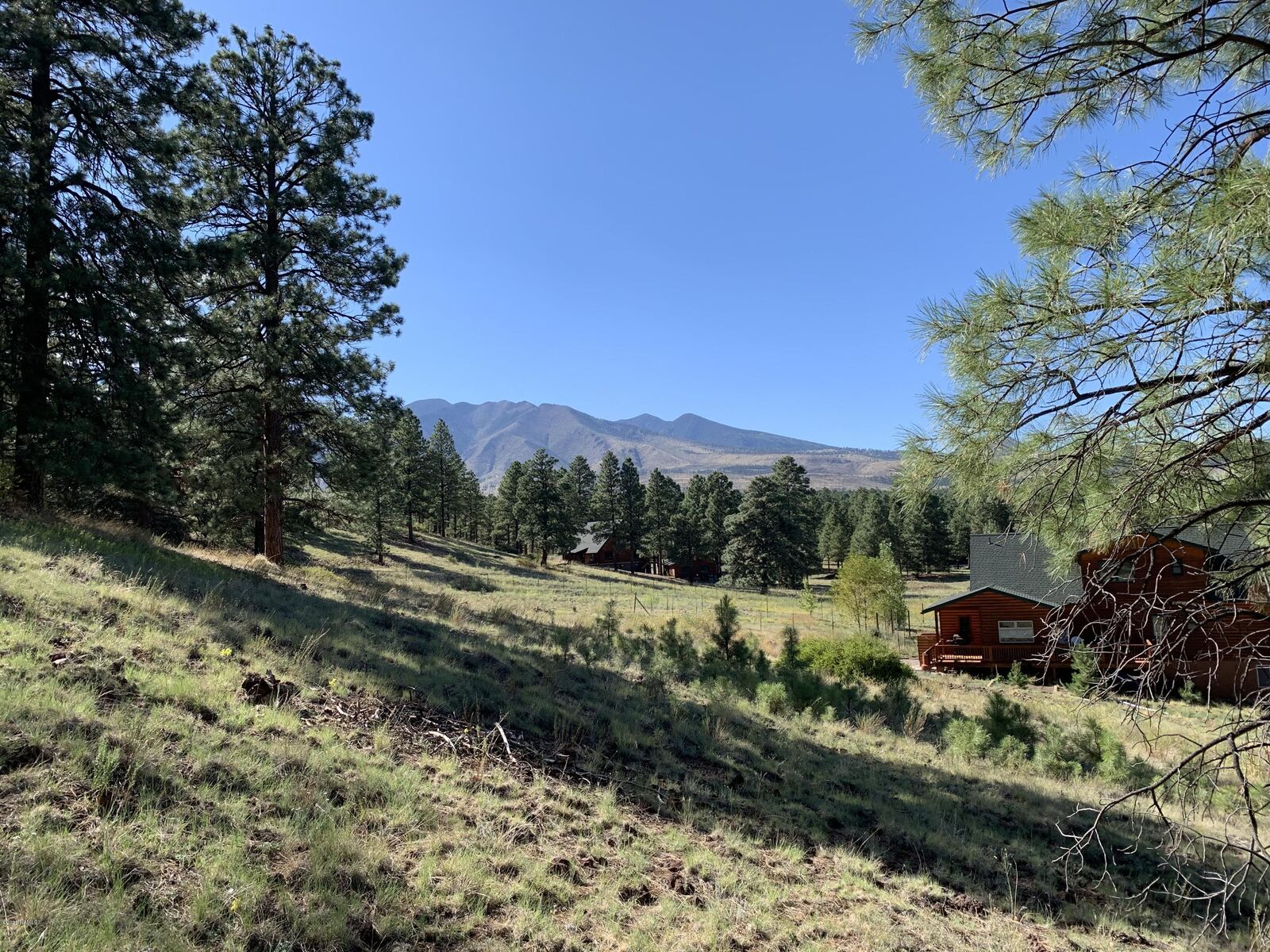 Property Photo: 11668 N Rope Arabian Road 2 AZ 86004