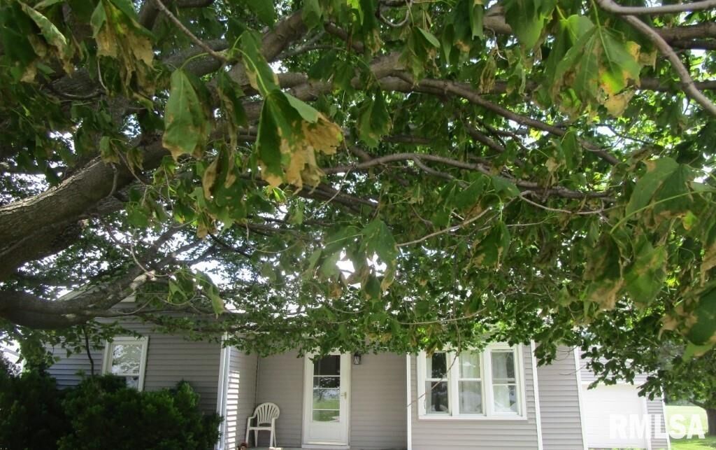 Property Photo:  609 N 1st Street  IL 61413 