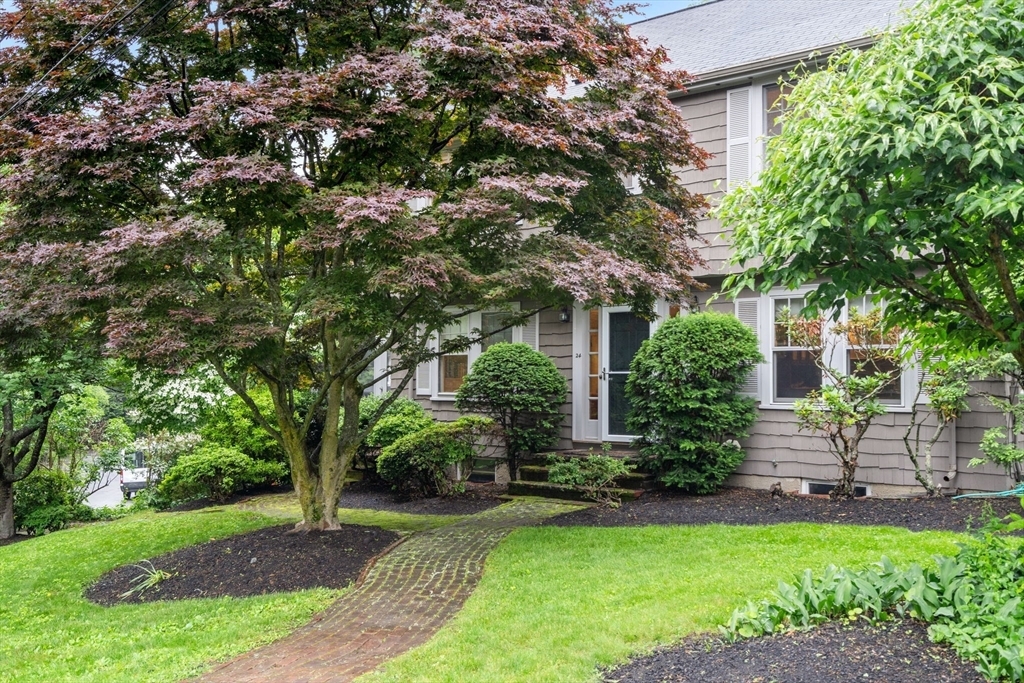 Property Photo: 24 Aspen Ave MA 02466