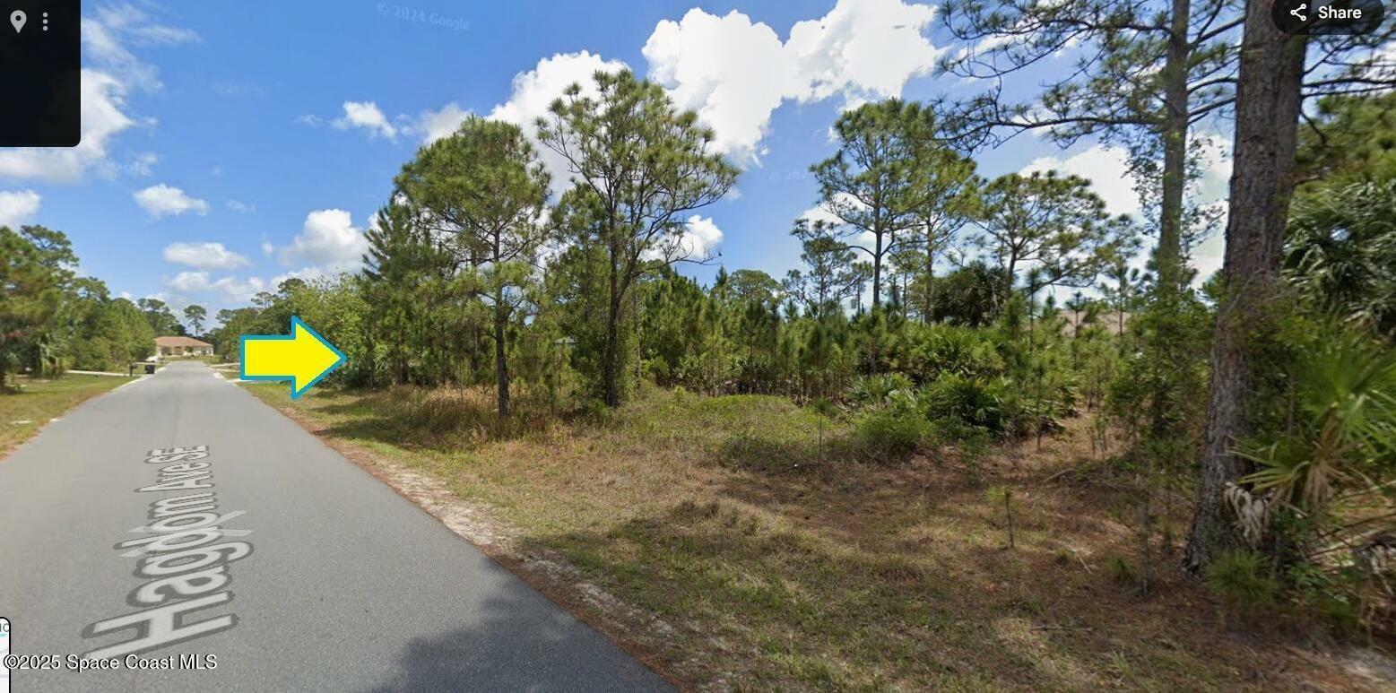 Property Photo: 2861 Hagdom Avenue SE FL 32909