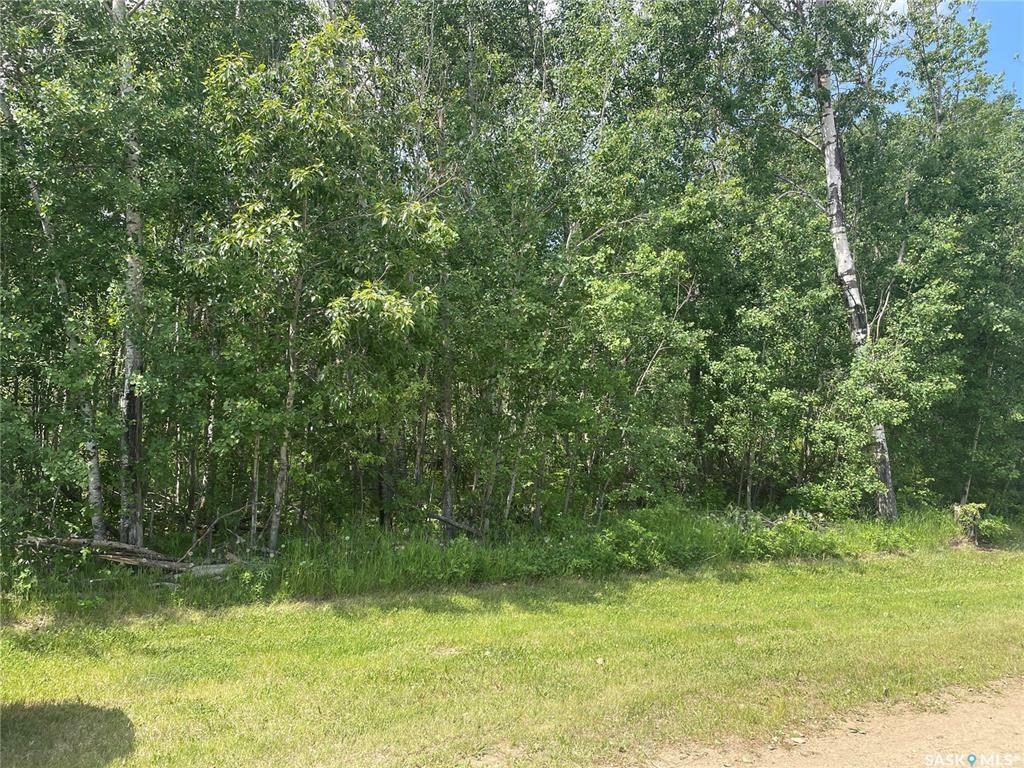 Property Photo:  7 Fresno Street  SK S0J 0E0 