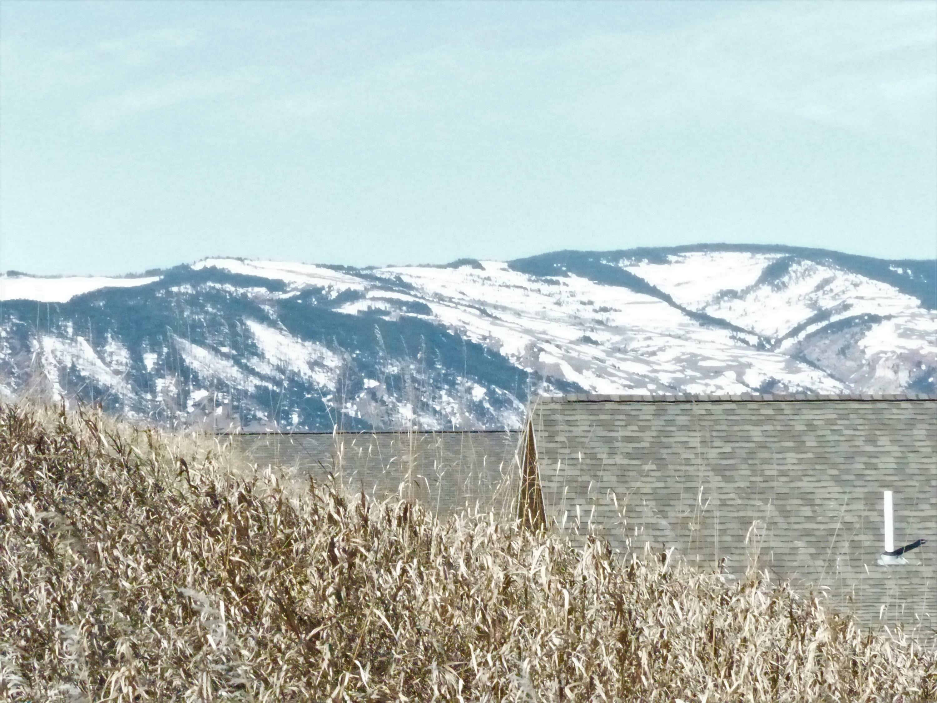 Property Photo: 24 Black Mountain Drive WY 82836