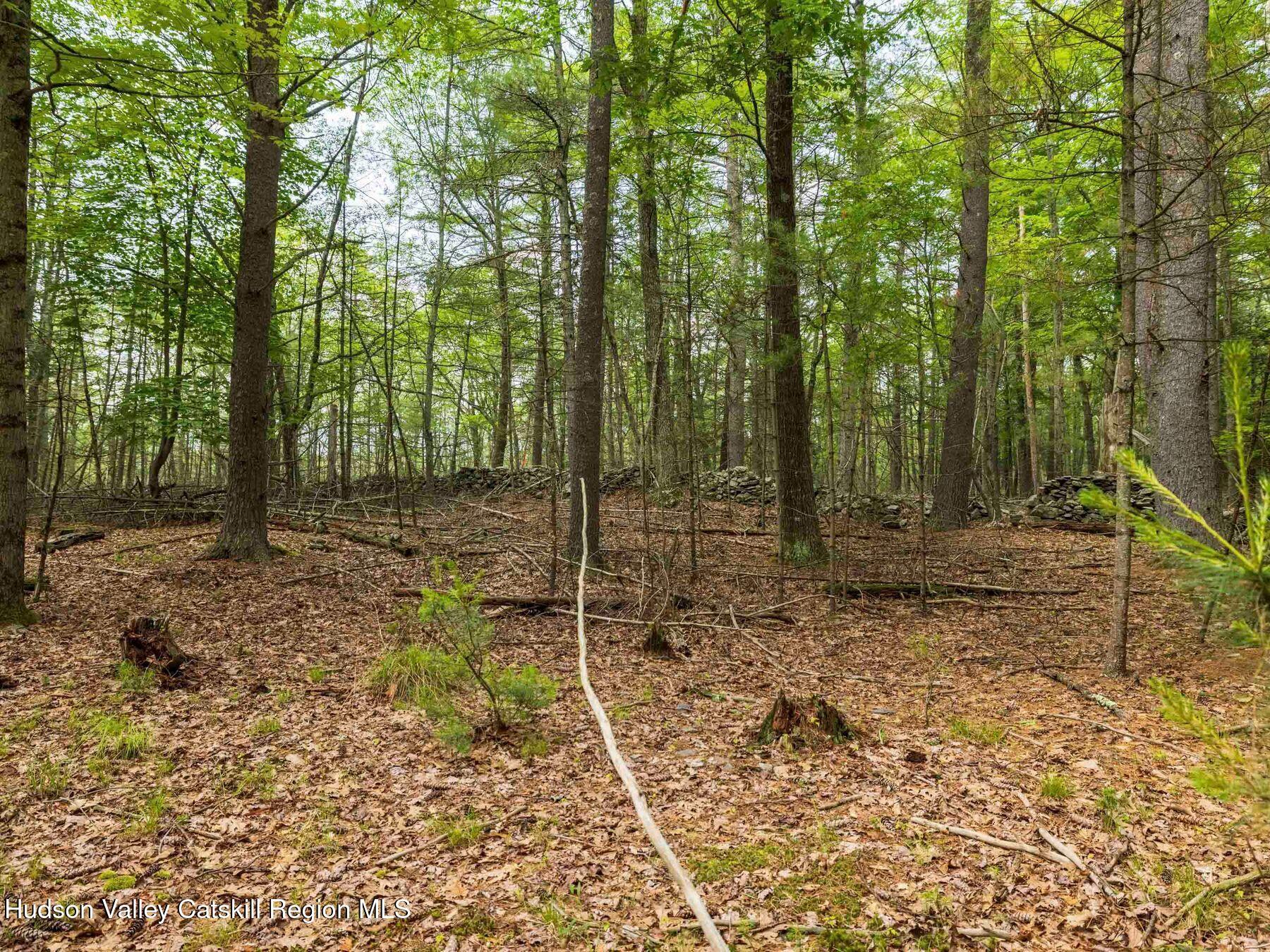 Property Photo: 0 Lot 1 Church NY 12409
