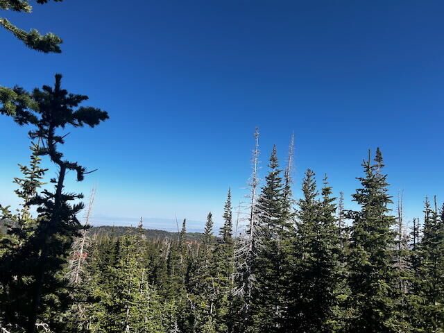 Property Photo: 115 S Olympic Dr UT 84719