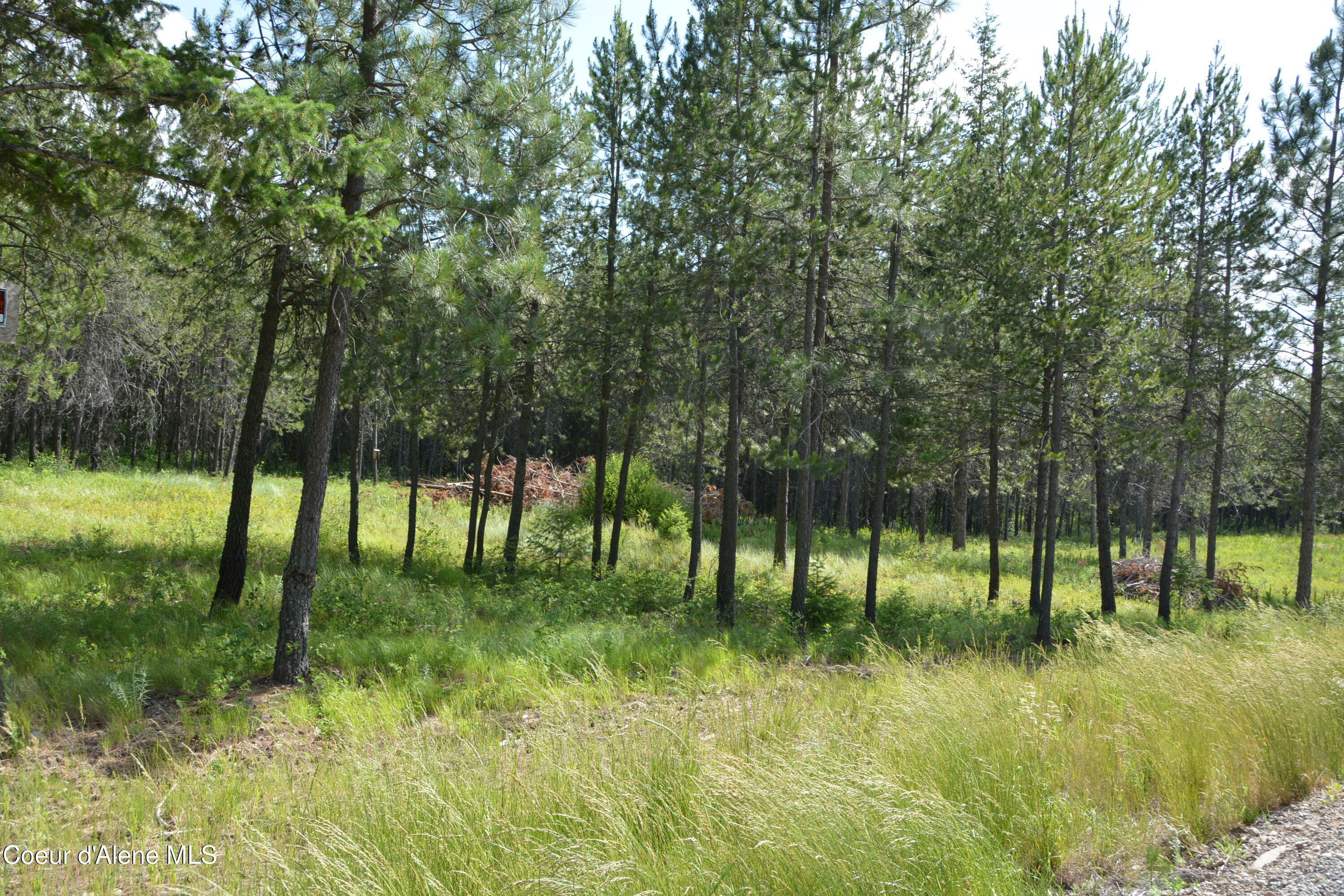 Property Photo:  Nka N Sylvan Road Road  ID 83801 