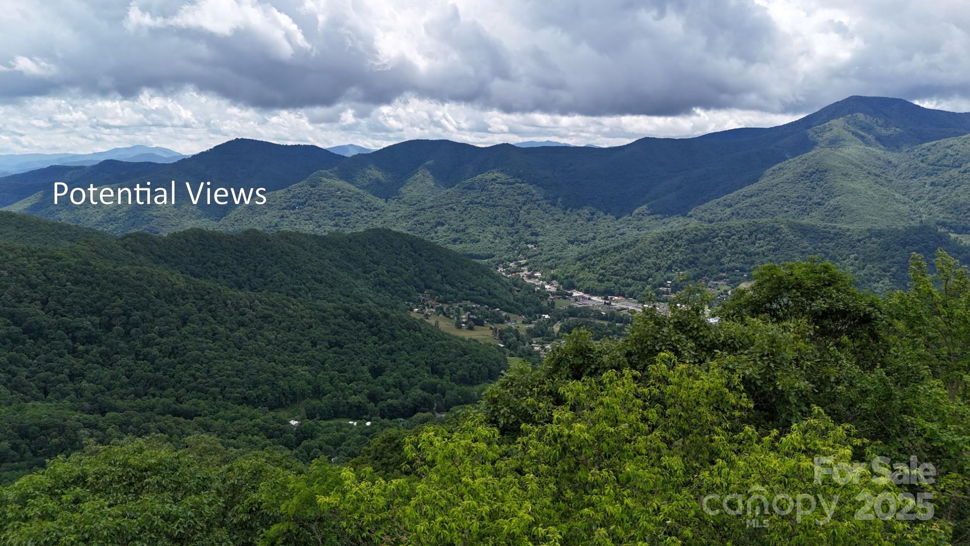 Property Photo: 00 Logging Trail NC 28751