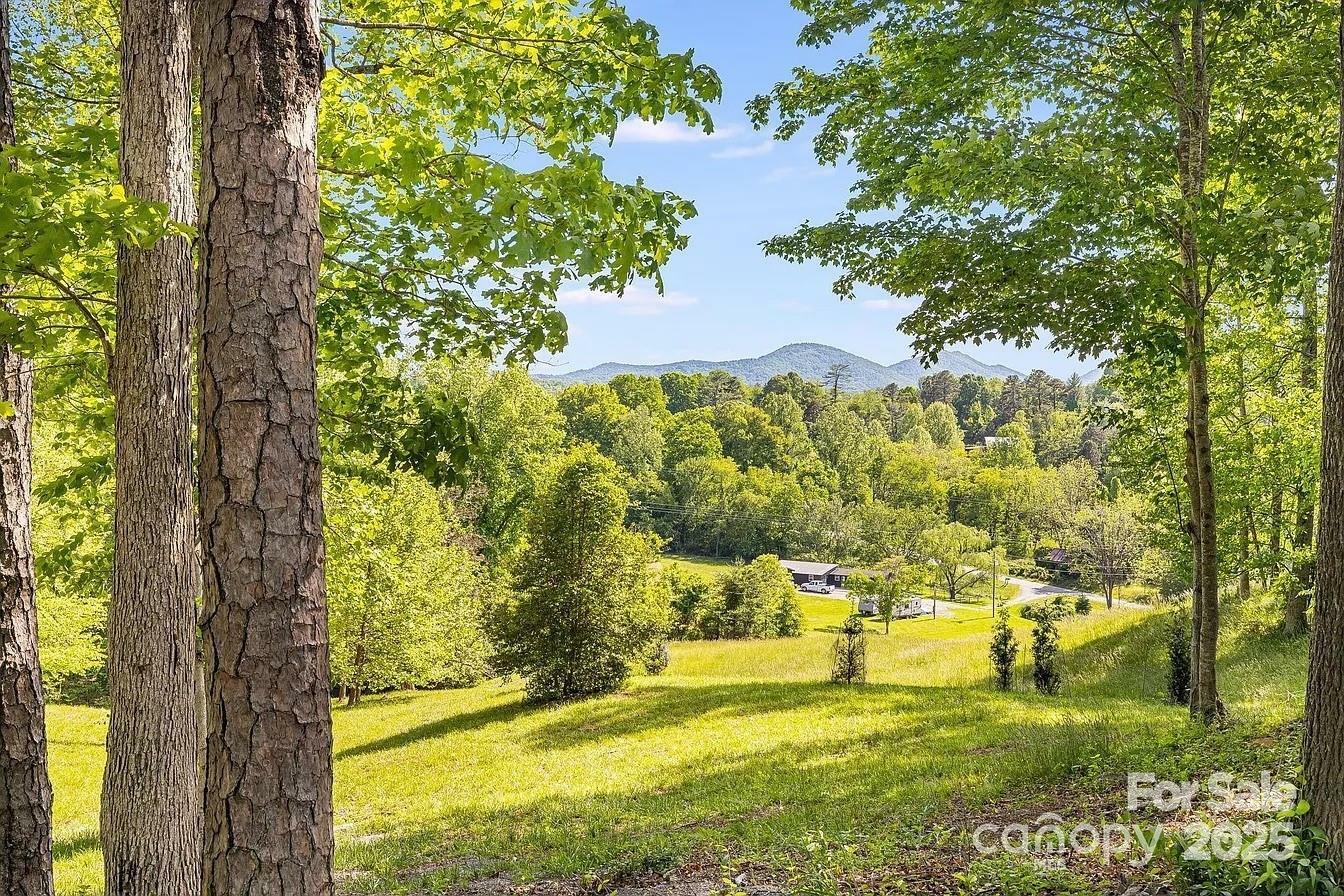 Property Photo: 48 Sweet Fern Parkway Lot 59 NC 28804