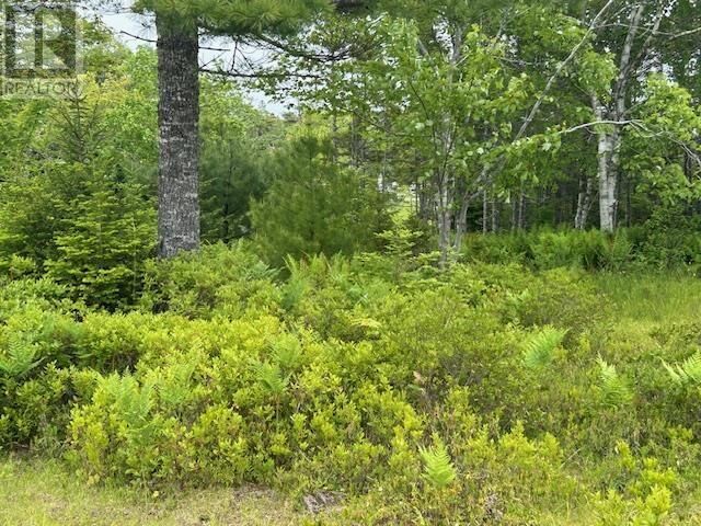 Property Photo:  Lot 7 Bay Street  NS B0E 3B0 