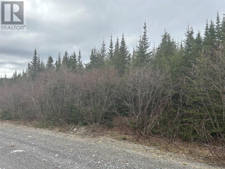 Property Photo:  Lot # 03 Quarry Road  NL A0C 1G0 