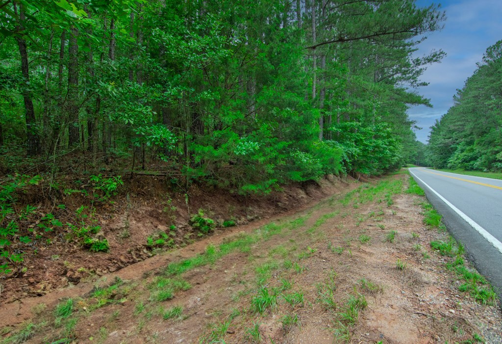 Property Photo:  0 Ga Hwy 0103  GA 31833 