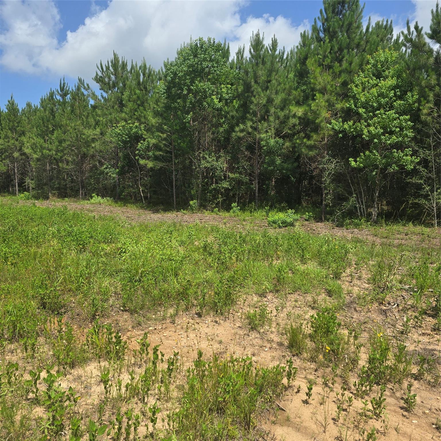 Property Photo: Tbd Hammond Road TX 77351
