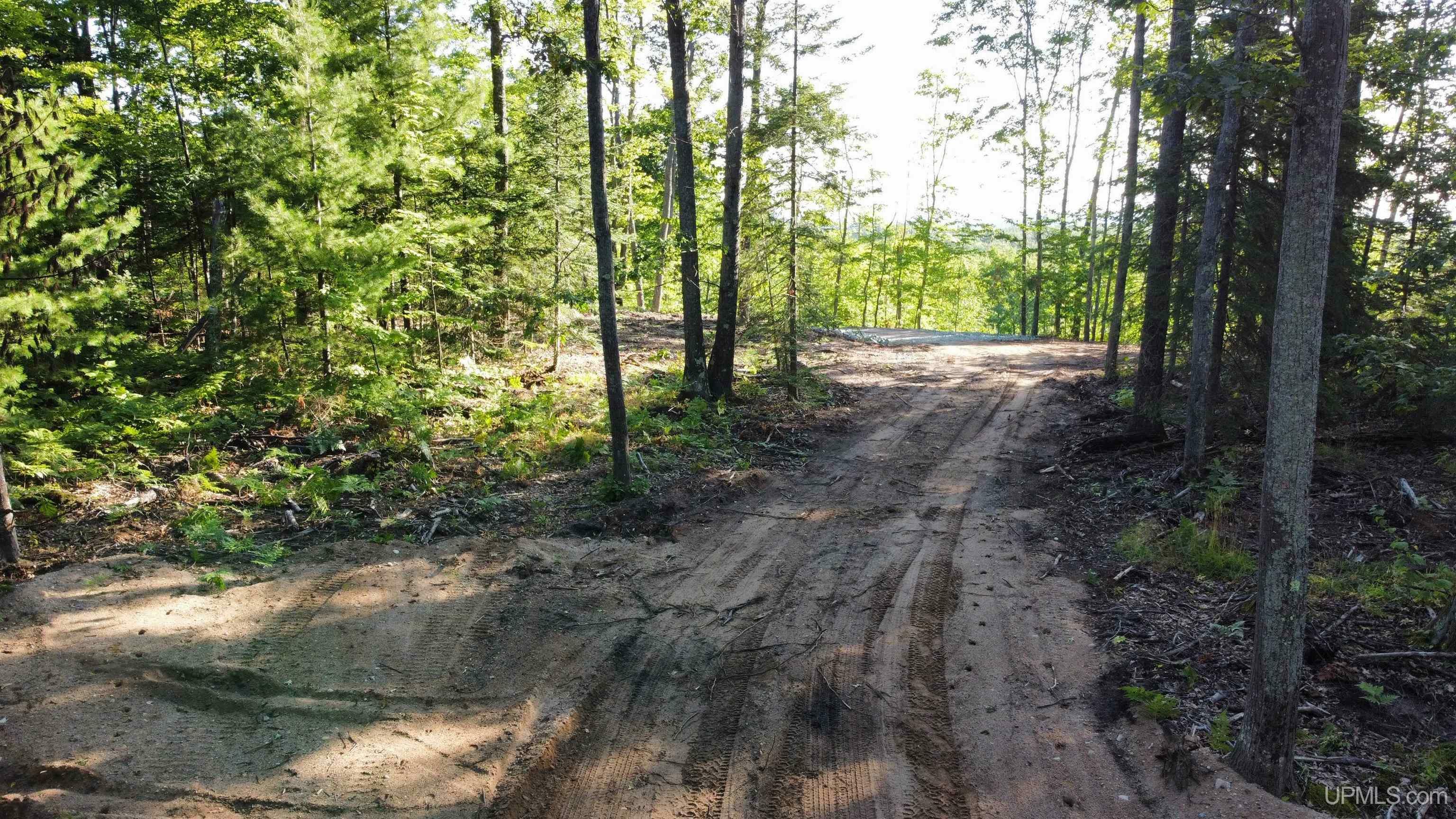 Property Photo: Tbd Neejee Road MI 49866