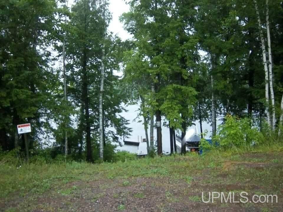 Property Photo:  Off Chaney Shores Road  MI 49911 