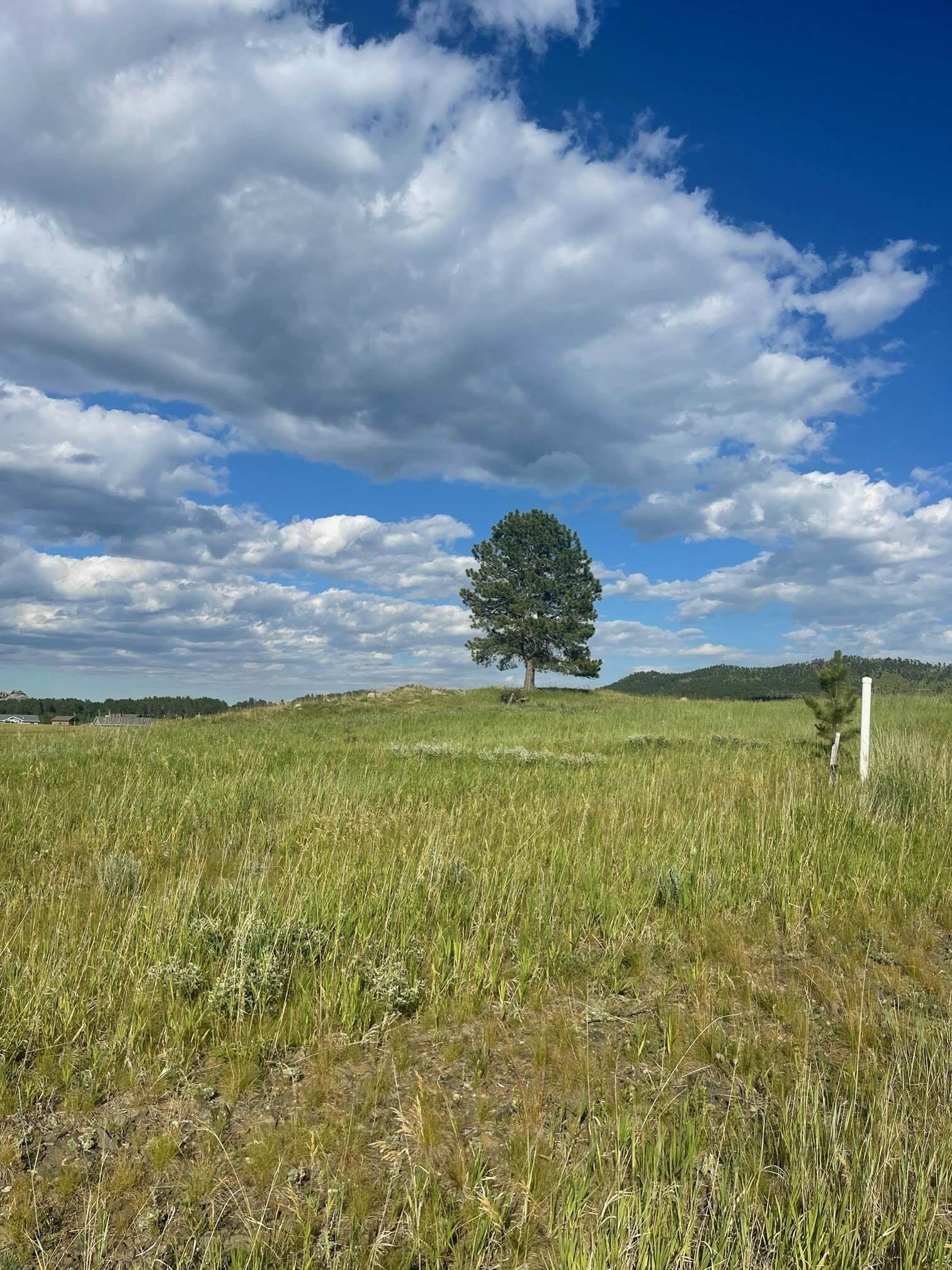 Property Photo: Lot 23 Park Avenue SD 57730