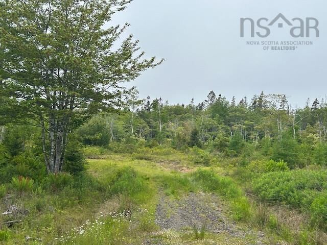 Property Photo:  Lot 7 Bay Street  NS B0E 3B0 