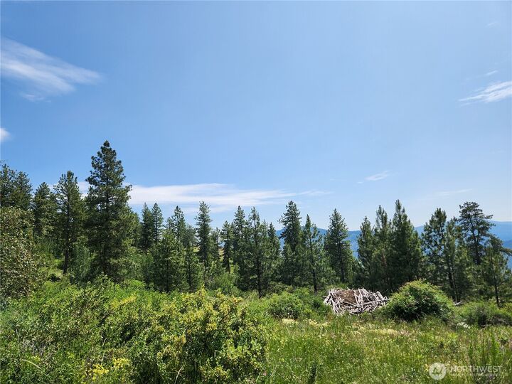Property Photo: 0 Roundabout Road WA 98859