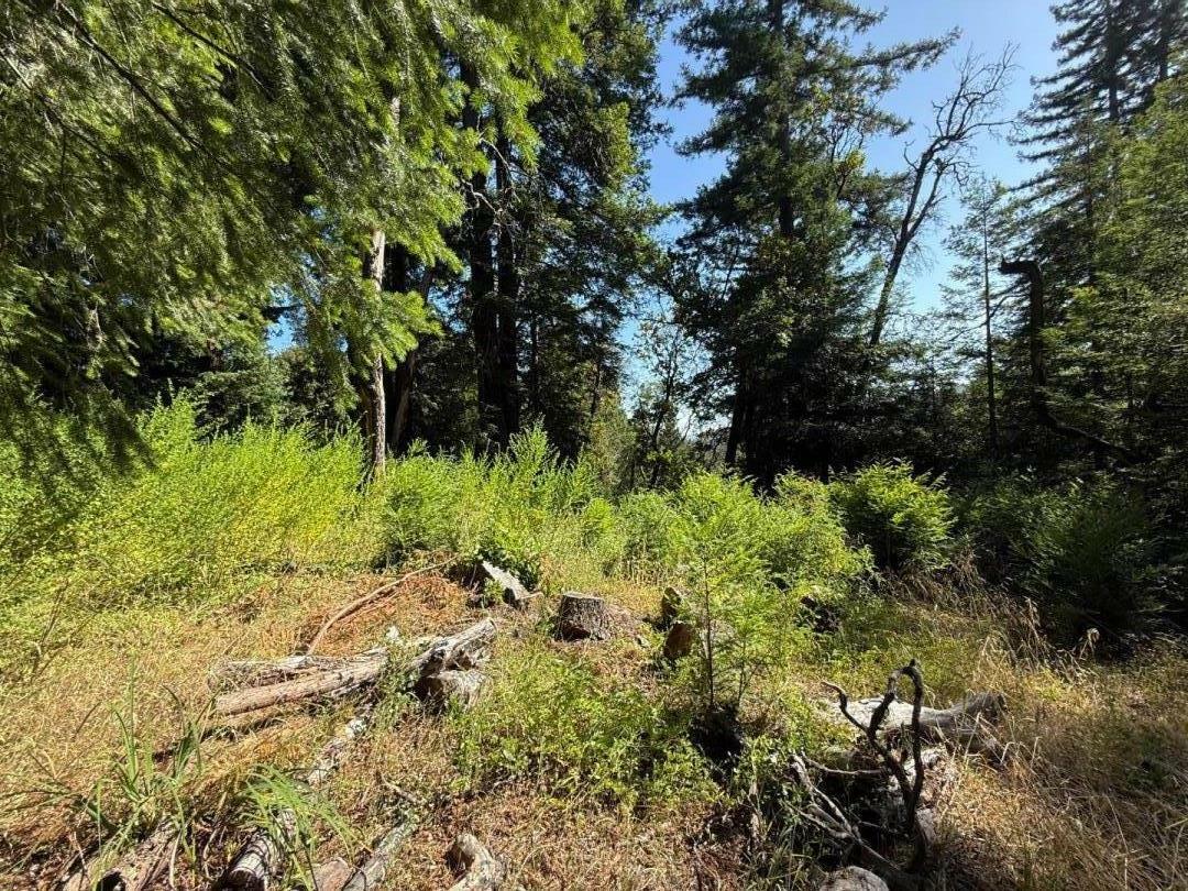 Property Photo: 0 Debbie CA 95033