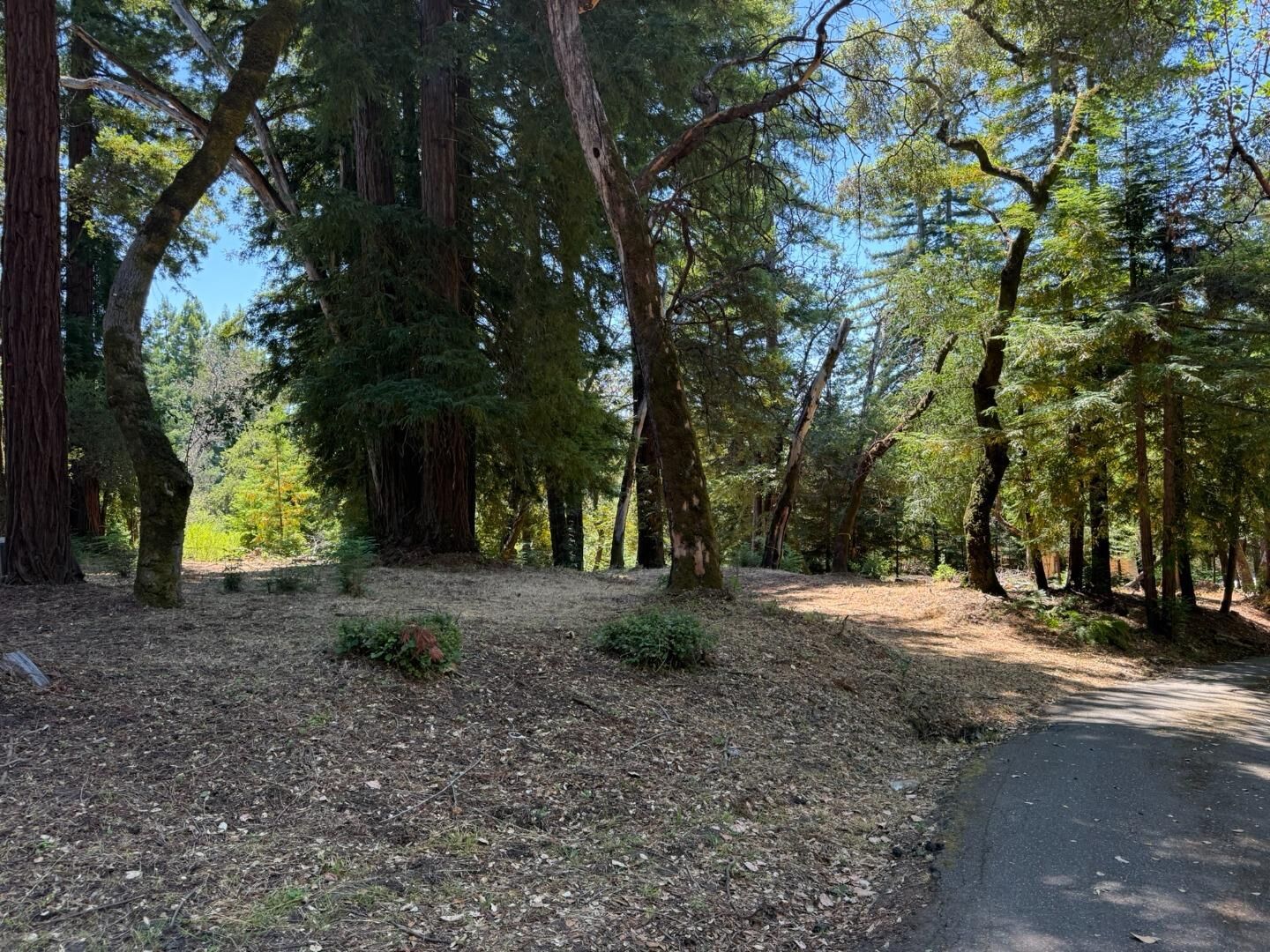 Property Photo:  0 Debbie  CA 95033 