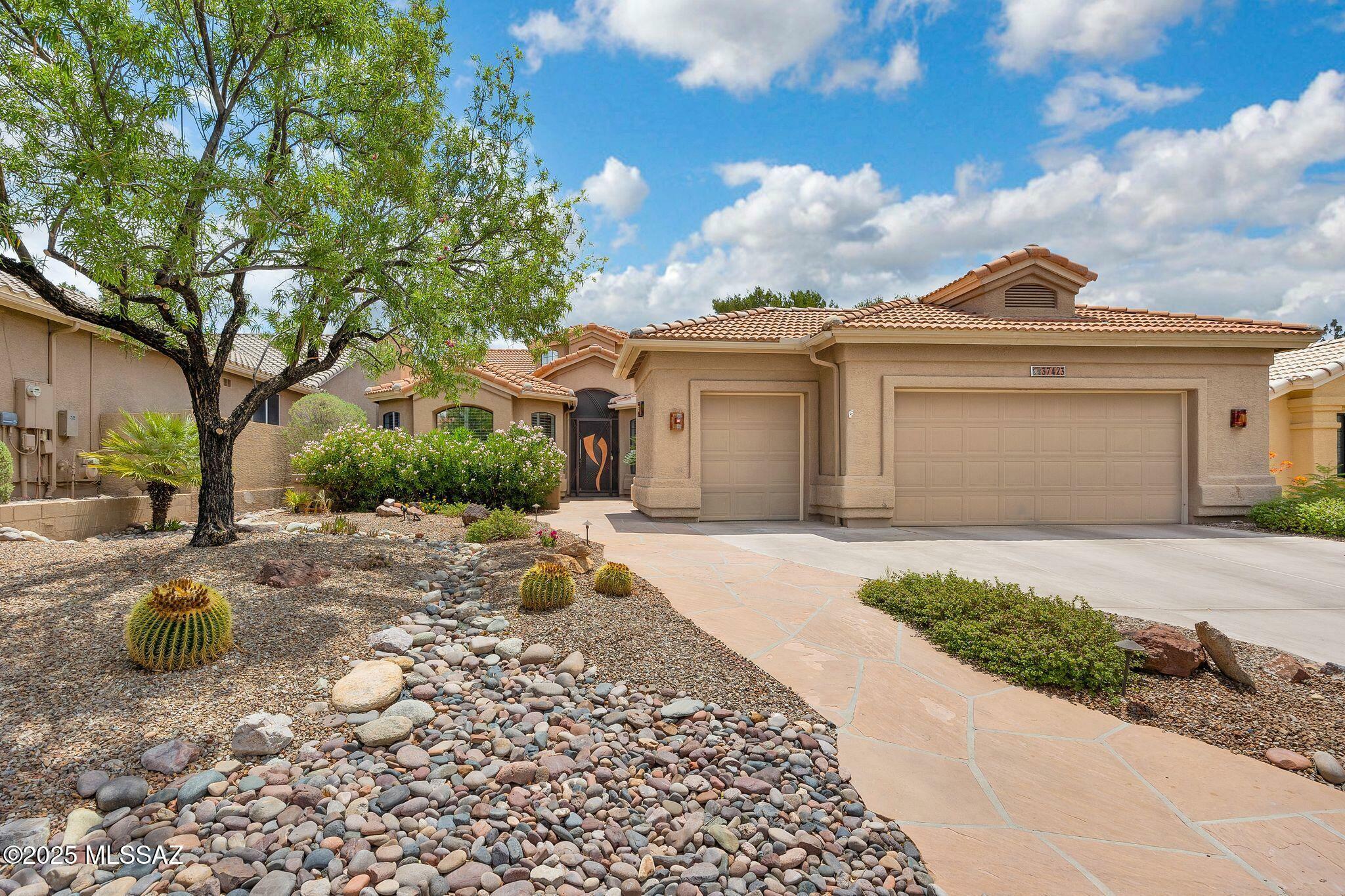 Property Photo:  37423 S Canyon View Drive  AZ 85739 