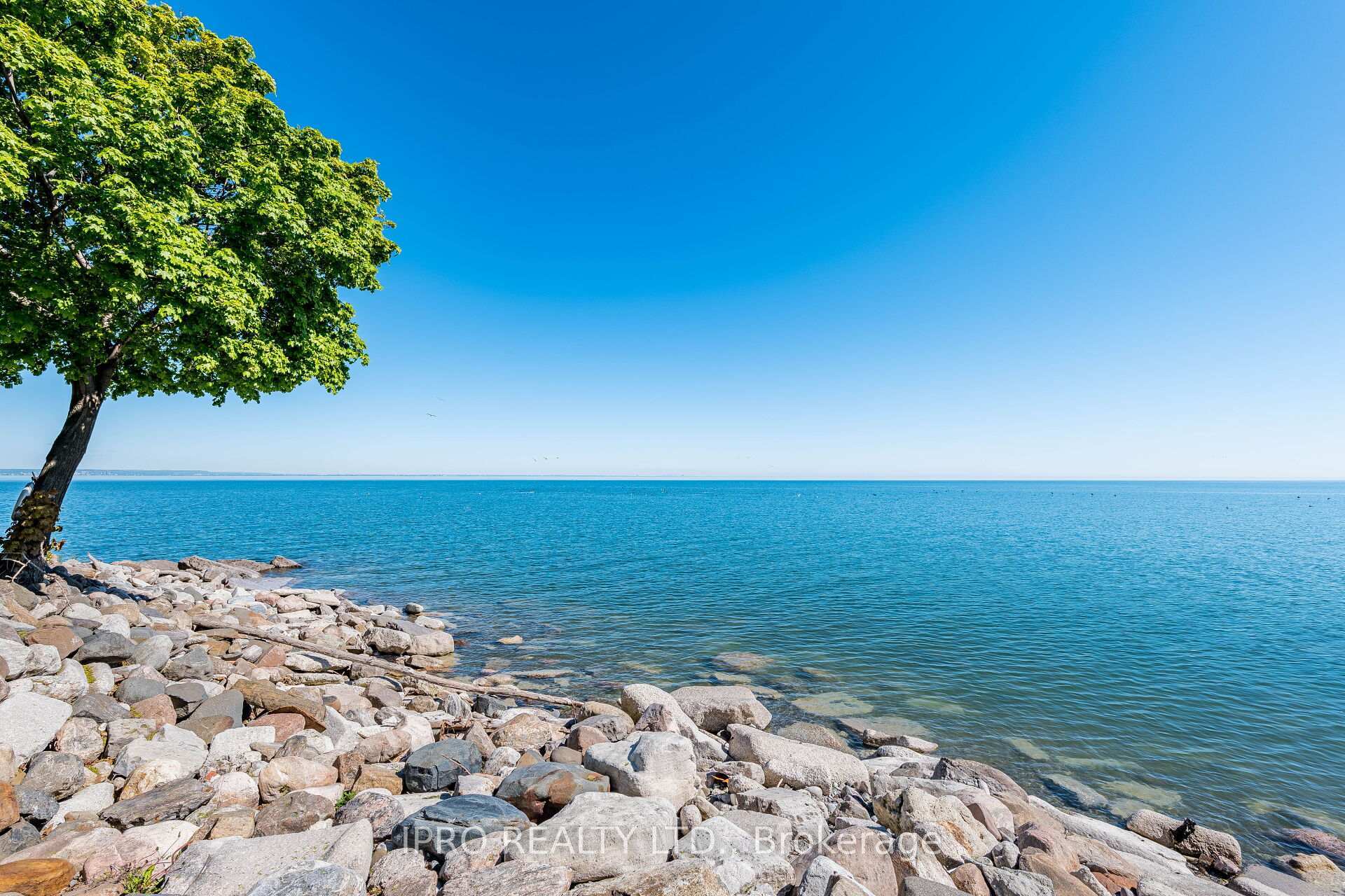 Property Photo: 45 Seabreeze Crescent 20 ON L8E 0G1