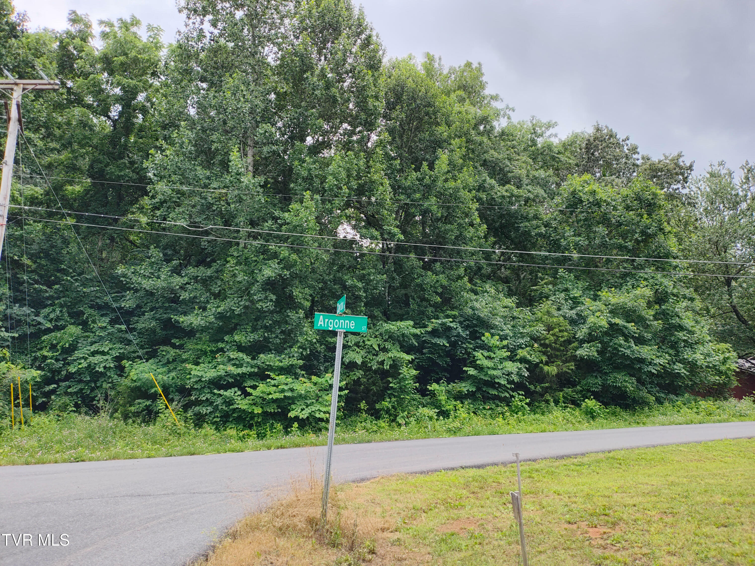 Property Photo: Lot 21 Argonne Street TN 37664