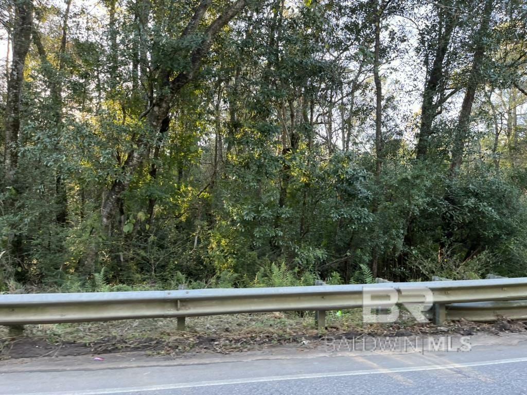 Property Photo: 0 County Road 55 AL 36551