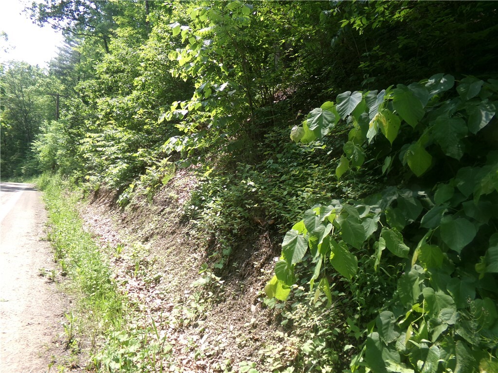Property Photo: 00 Gridleyville Road NY 14883