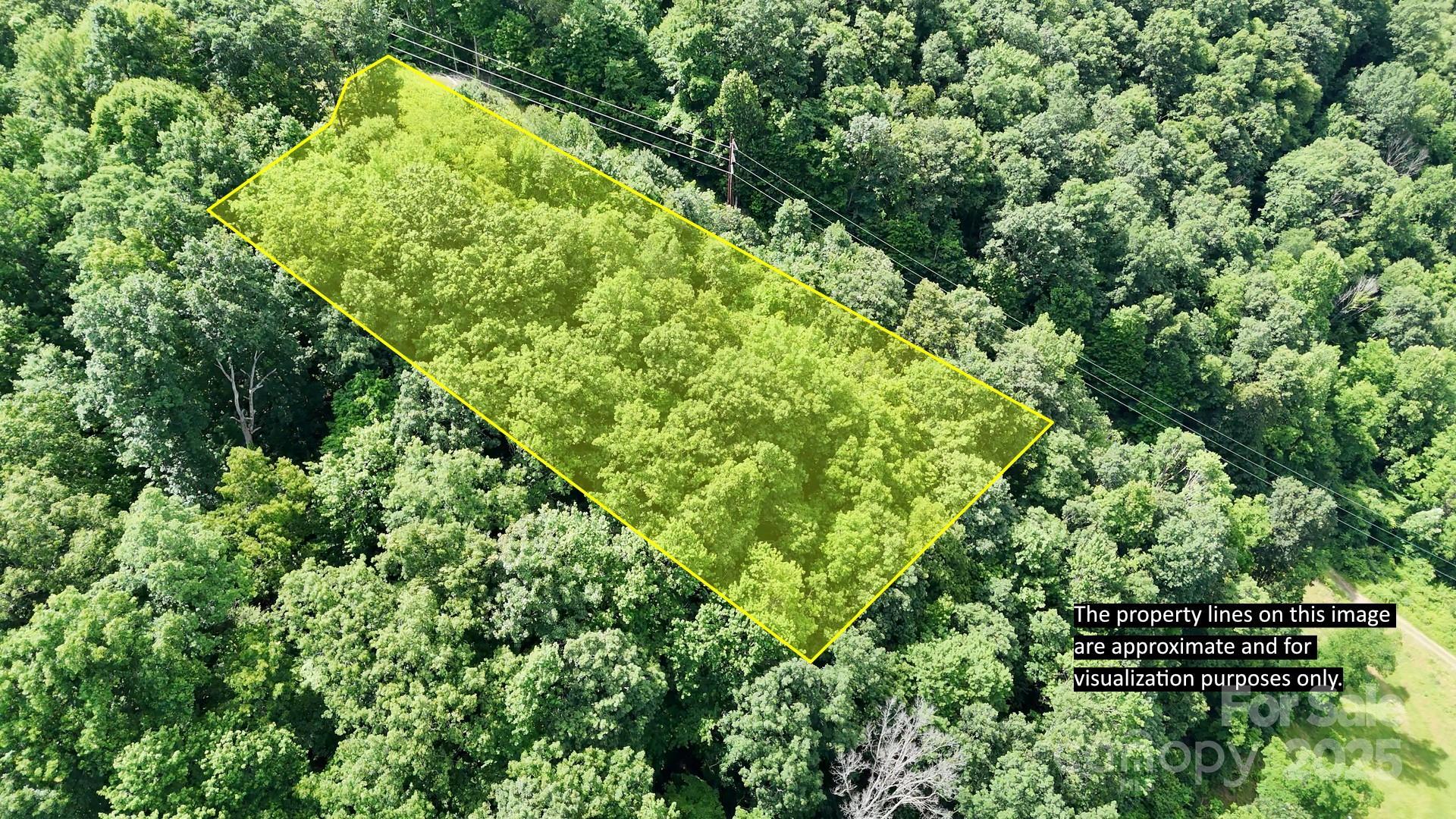 Property Photo:  00 Liner Cove Road 1  NC 28786 