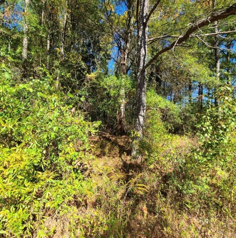 Property Photo: 0 Scarlett Lane GA 30161