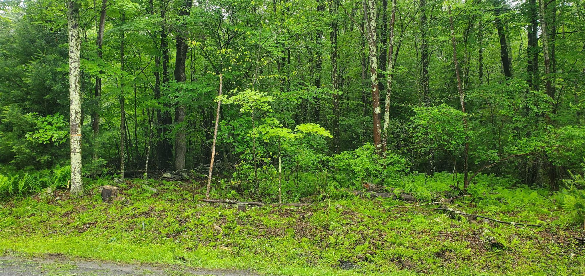 Property Photo: Tr 105 Cypert Road NY 12733