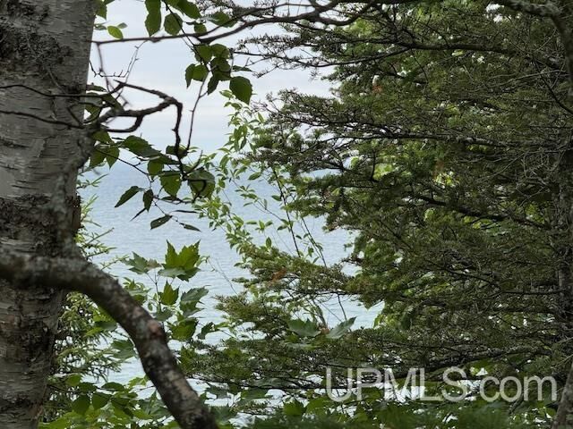 Property Photo:  Tbd Five Mile Pt Road  MI 49950 