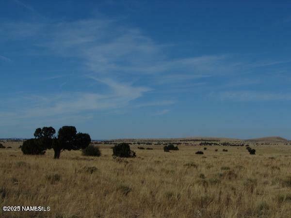 Property Photo:  7420 Mineral Wells Road  AZ 86046 