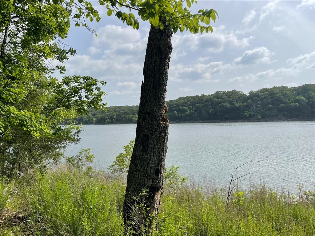 Property Photo:  28190 Willow Lane  MO 65641 