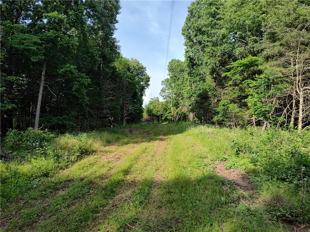 Property Photo: Taylor Barnett Road AR 72732